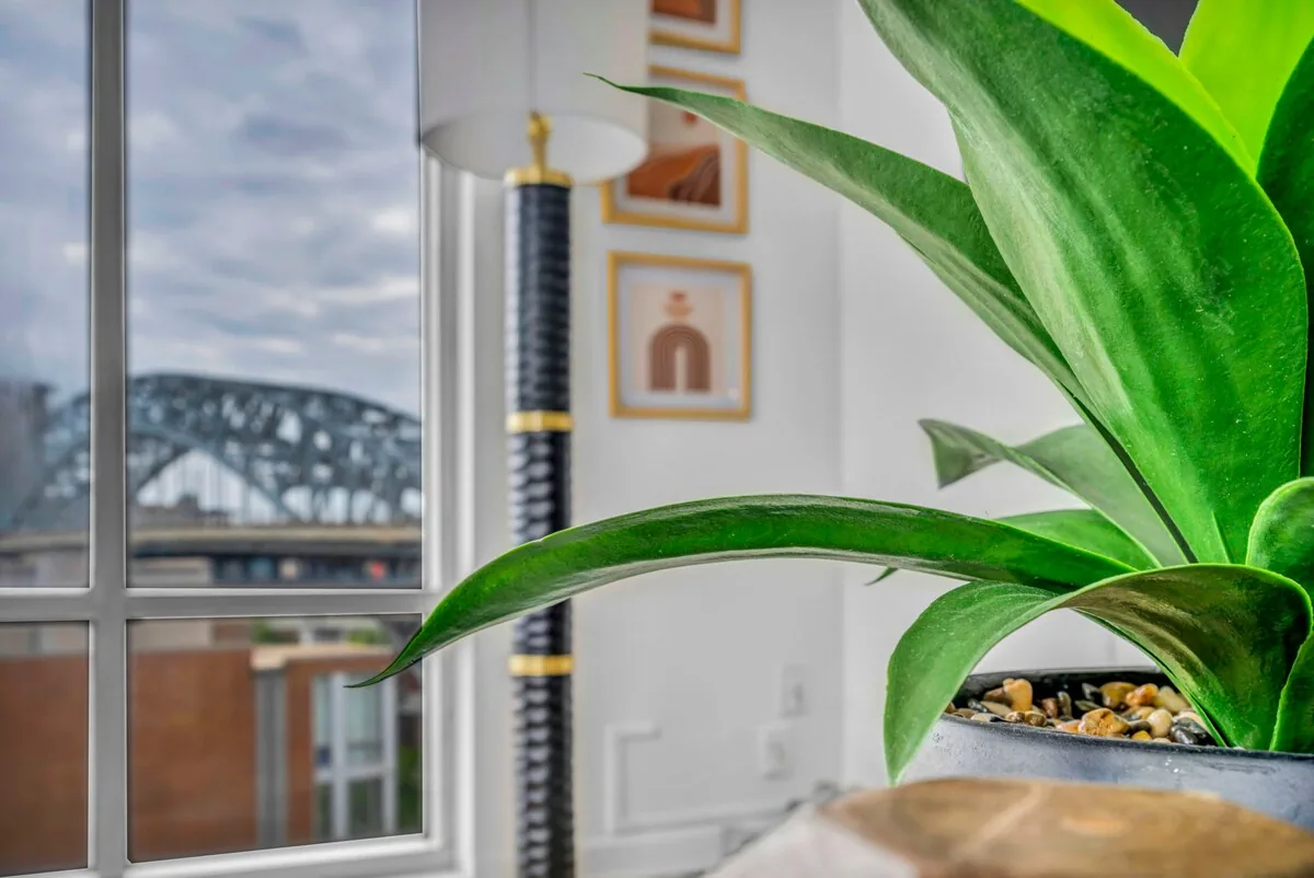 City View + Modern + Balcony + Parking + Gym property photo 43 of 53