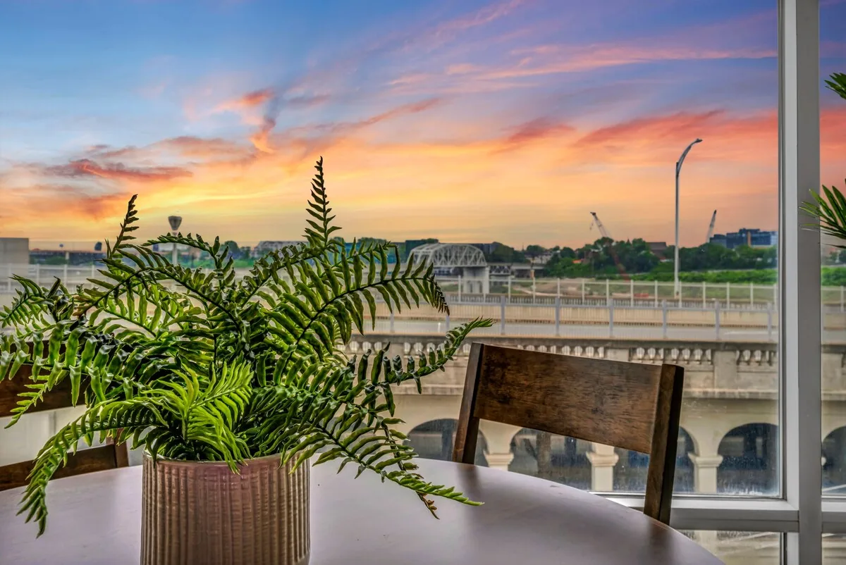 River/City view + Flats + Balcony + Parking + Gym property photo 43 of 45
